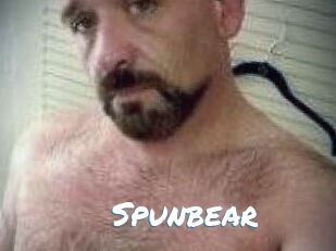 Spunbear