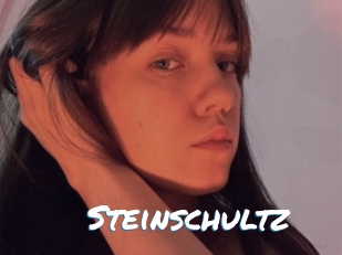 Steinschultz