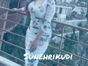 Sunehrikudi