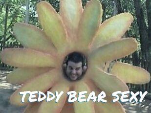 TEDDY_BEAR_SEXY