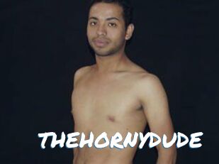 THEHORNYDUDE