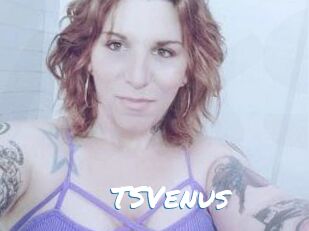 TS_Venus