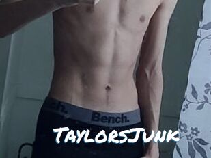 TaylorsJunk