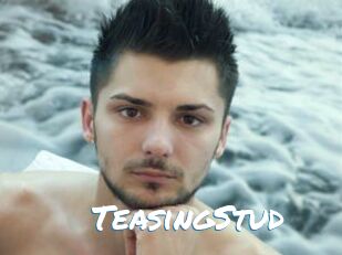 TeasingStud