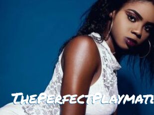 ThePerfectPlaymate