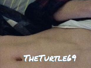 TheTurtle69