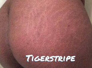 Tigerstripe