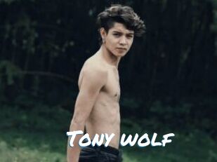 Tony_wolf