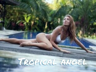 Tropical_angel