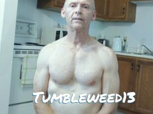 Tumbleweed13 Max 50