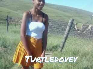 Turtledovey