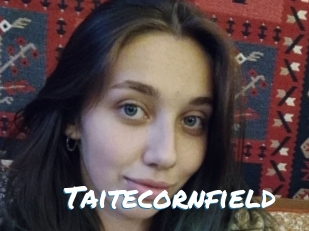 Taitecornfield