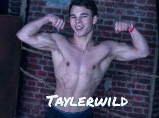 Taylerwild