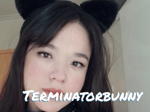 Terminatorbunny