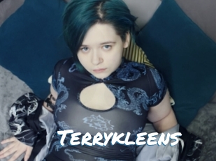 Terrykleens