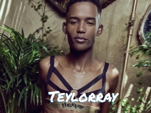Teylorray