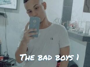 The_bad_boys_1