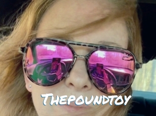 Thepoundtoy