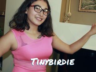 Tinybirdie