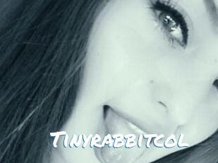 Tinyrabbitcol