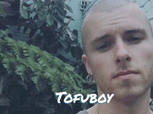 Tofu_boy