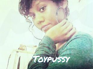 Toypussy