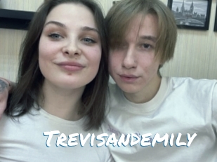 Trevisandemily