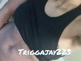 Triggajay223