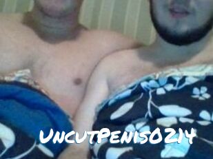 UncutPenis0214