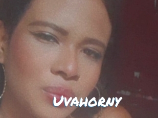 Uvahorny