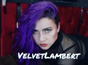 VelvetLambert