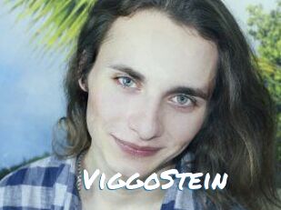 ViggoStein
