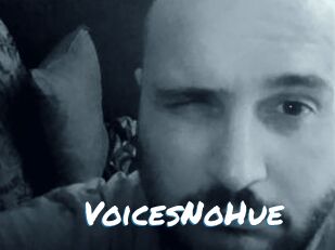 VoicesNoHue