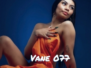 Vane_077
