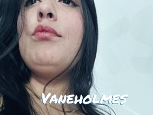 Vaneholmes