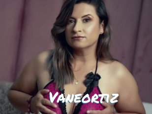 Vaneortiz