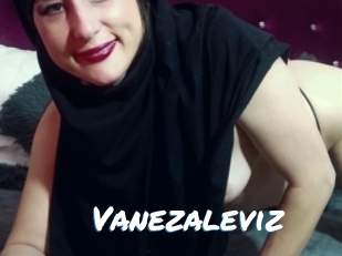 Vanezaleviz