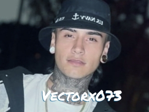 Vectorx073