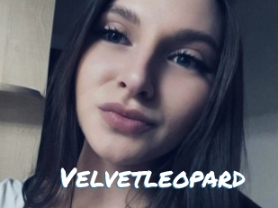 Velvetleopard