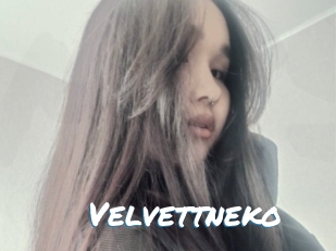 Velvettneko
