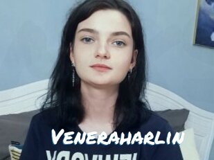 Veneraharlin