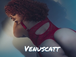 Venuscatt