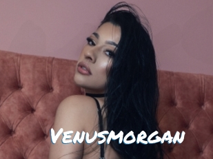 Venusmorgan
