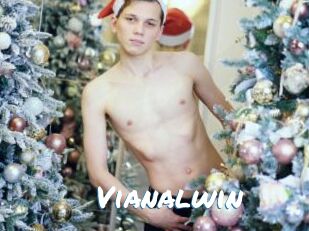 Vianalwin