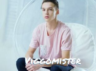 Viggomister