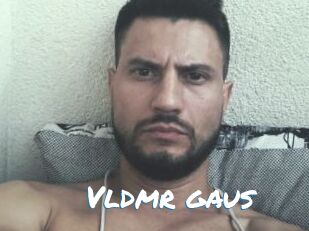 vldmr_gaus Max 50