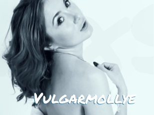 Vulgarmollye