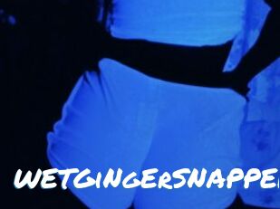 WETGiNgErSNAPPER