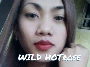 WILD_HOTrose