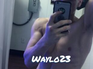 Waylo23